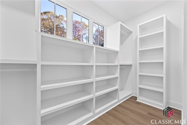 walk in closet with dark hardwood / wood-style flooring