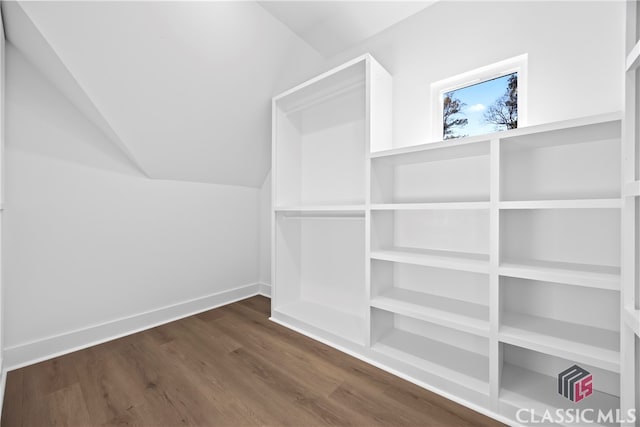 walk in closet with dark hardwood / wood-style floors and lofted ceiling