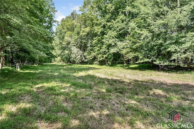 view of yard featuring a view of trees
