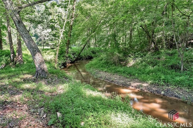 view of local wilderness