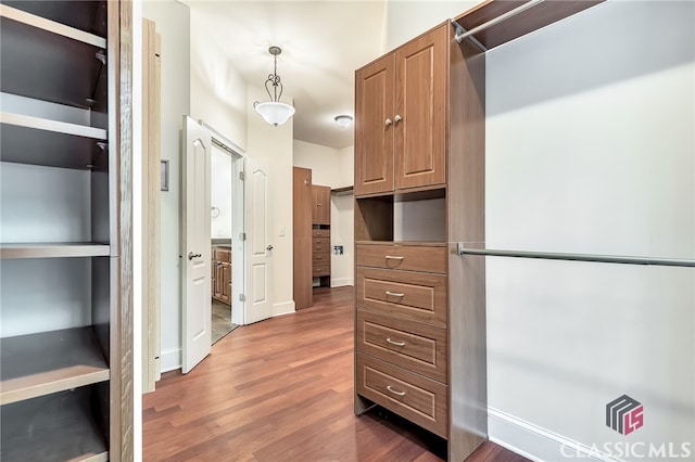 walk in closet featuring dark wood-type flooring