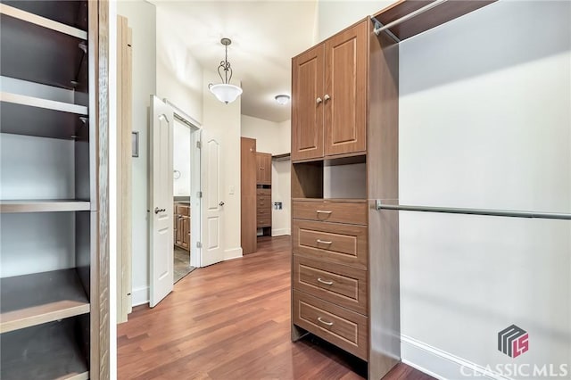 spacious closet featuring wood finished floors