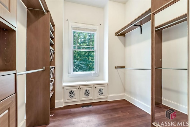 walk in closet featuring visible vents and dark wood-type flooring