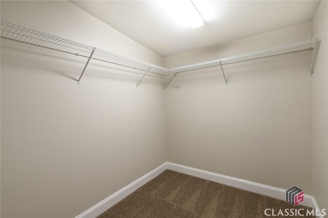 218 E Vine St, Monroe, GA 30655 - spacious closet with dark carpet