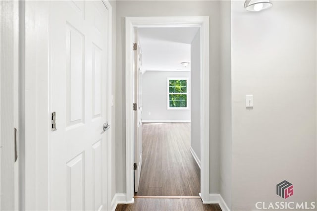 hall with dark wood-type flooring