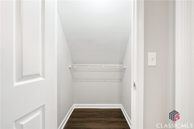 spacious closet with dark wood-type flooring