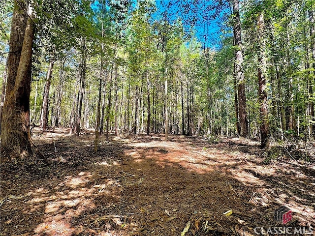 view of local wilderness