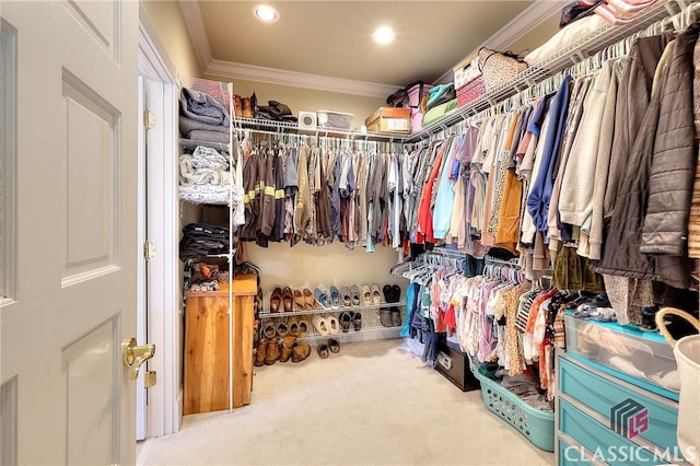 spacious closet with carpet flooring