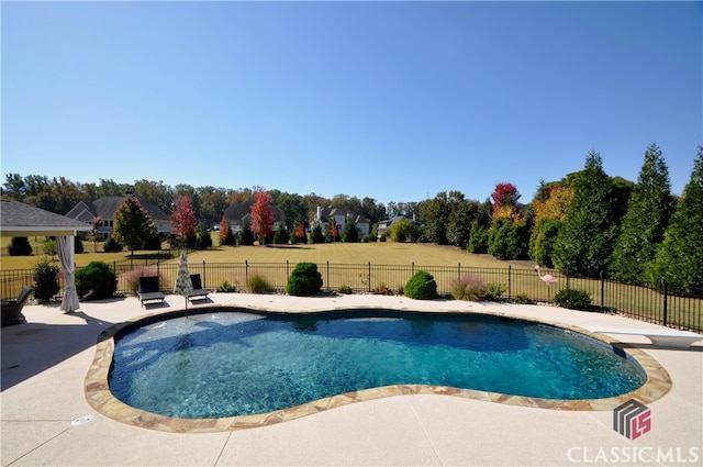 view of swimming pool featuring a patio