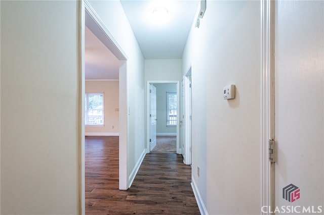 hall featuring dark wood-type flooring