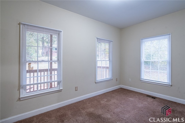 empty room featuring a wealth of natural light and carpet flooring