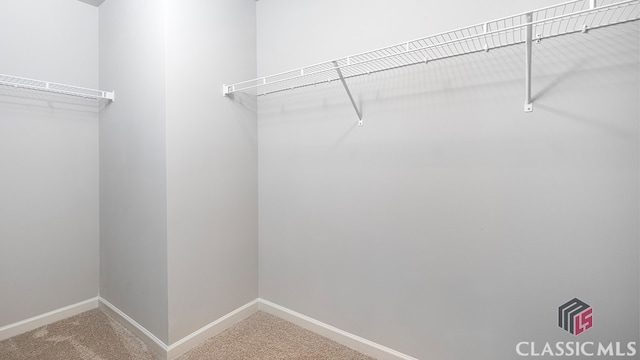 spacious closet with carpet