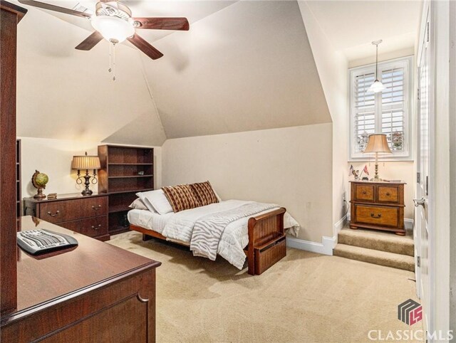 walk in closet with carpet