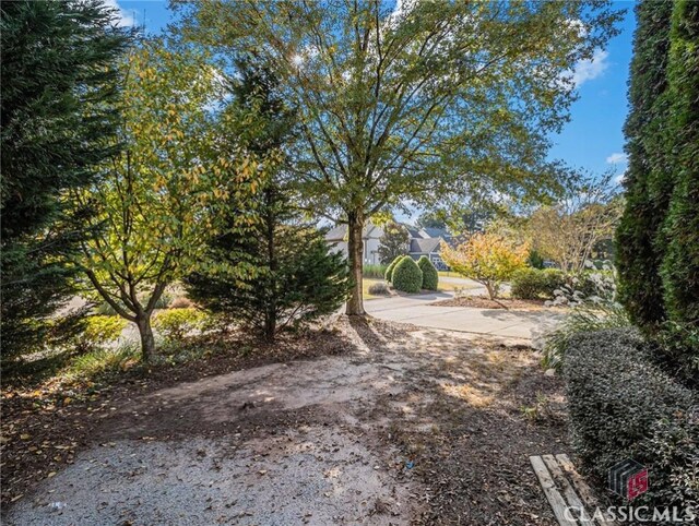 view of concrete driveway