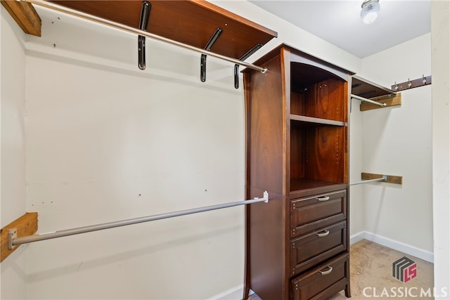 spacious closet featuring light carpet