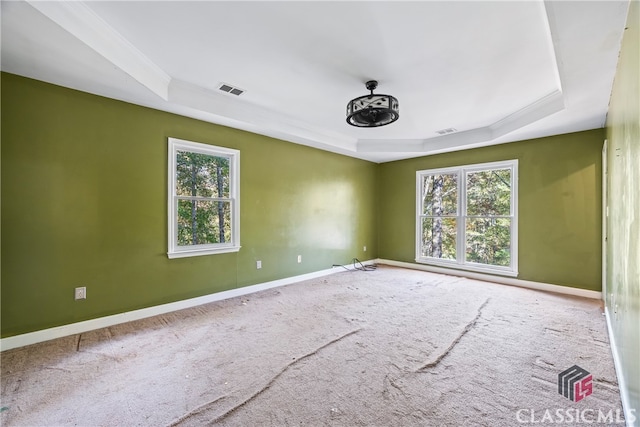 carpeted empty room featuring plenty of natural light, ornamental molding, and a raised ceiling