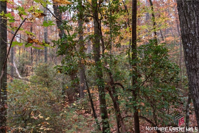 Listing photo 2 for 00 Chimney Mountain Flats Trail, Clarkesville GA 30523