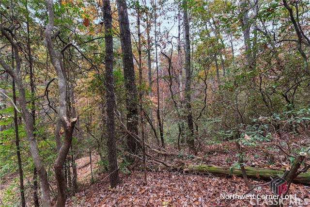 Listing photo 3 for 00 Chimney Mountain Flats Trail, Clarkesville GA 30523