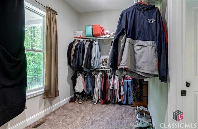 walk in closet featuring carpet floors