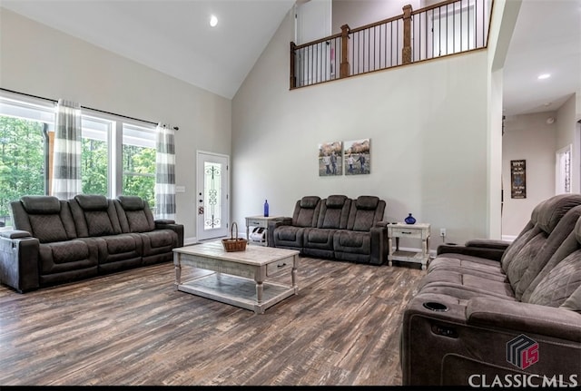 living room featuring high vaulted ceiling and dark hardwood / wood-style floors