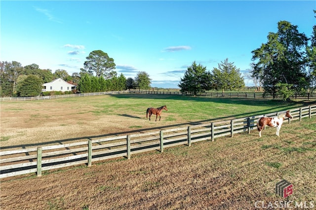 view of yard with a rural view