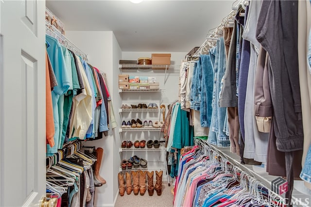 walk in closet with carpet floors