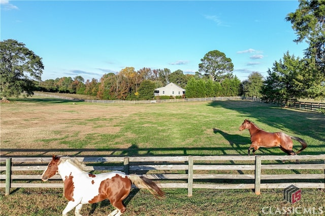 view of yard with a rural view