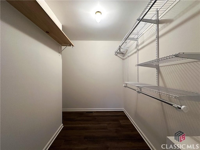 walk in closet with dark hardwood / wood-style floors