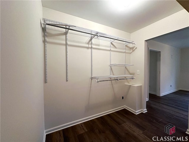 walk in closet with dark hardwood / wood-style flooring