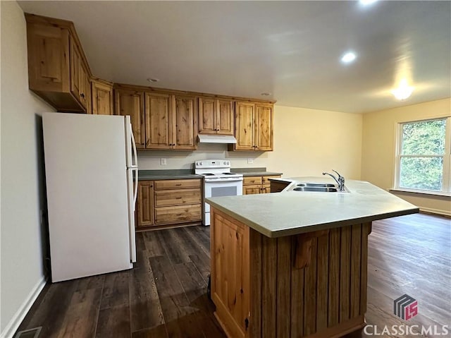 kitchen with dark hardwood / wood-style floors, white appliances, and sink