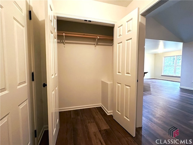 view of closet