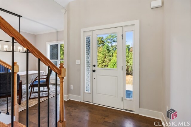 foyer entrance featuring dark hardwood / wood-style floors