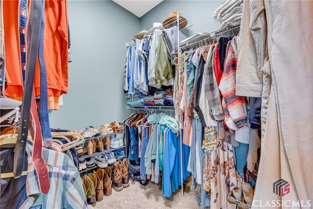 walk in closet featuring carpet floors