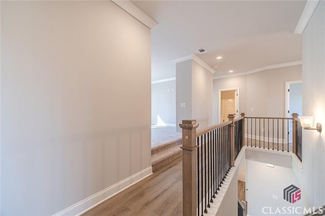 spare room featuring light colored carpet, a raised ceiling, ceiling fan, and ornamental molding