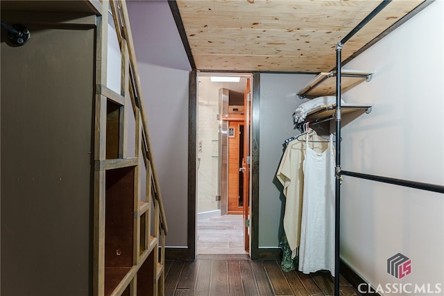 spacious closet featuring dark wood-type flooring