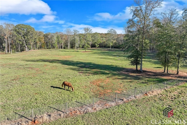 view of yard featuring a rural view