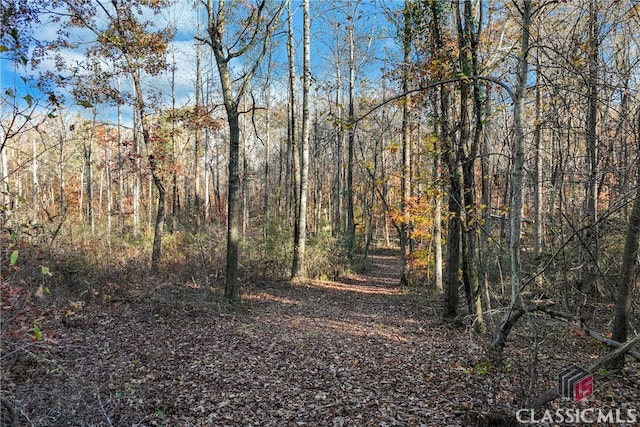 view of local wilderness