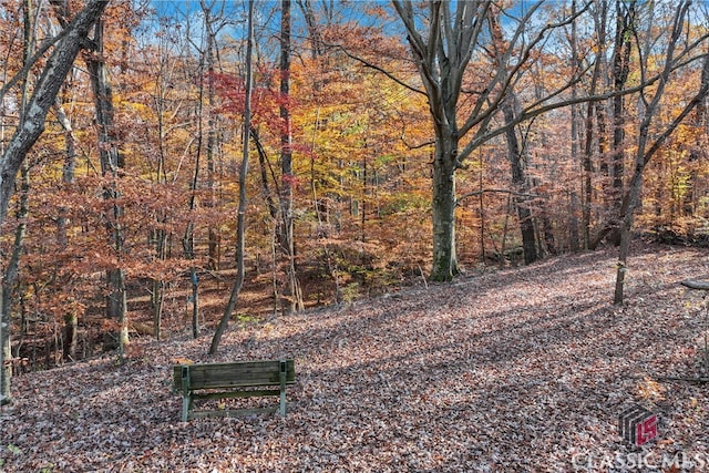 view of local wilderness