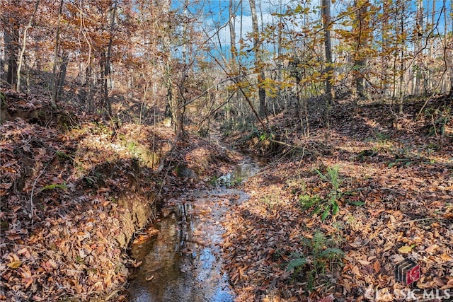 view of nature