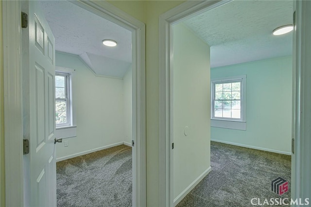 hall featuring carpet and a textured ceiling