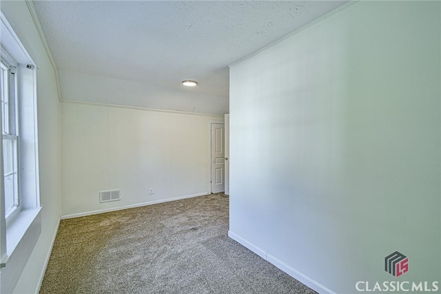 spare room with carpet and a textured ceiling