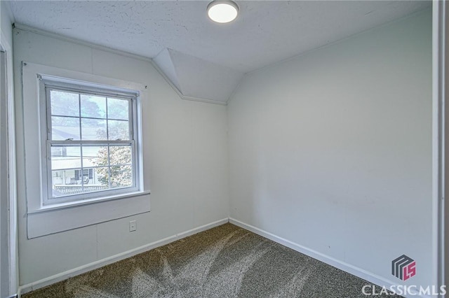 additional living space with carpet flooring, a textured ceiling, and vaulted ceiling