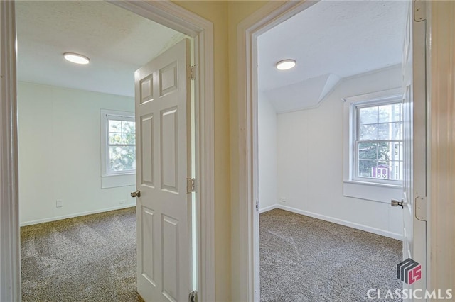 hallway with carpet flooring and plenty of natural light