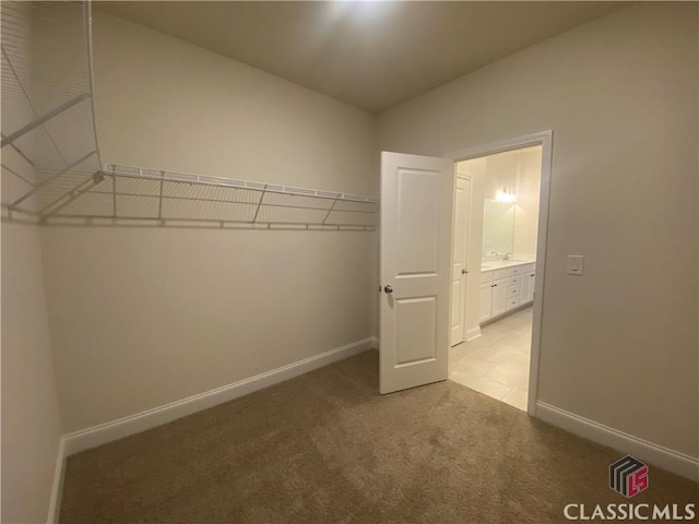 spacious closet featuring sink and light colored carpet