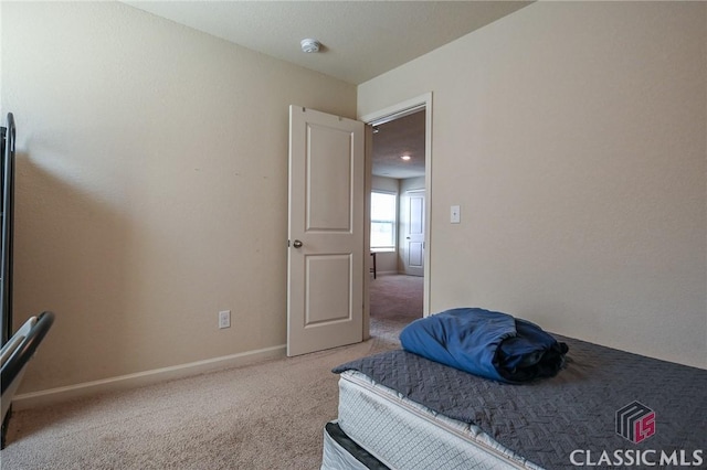 bedroom featuring carpet