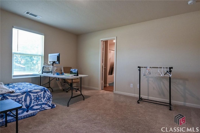 carpeted bedroom with connected bathroom