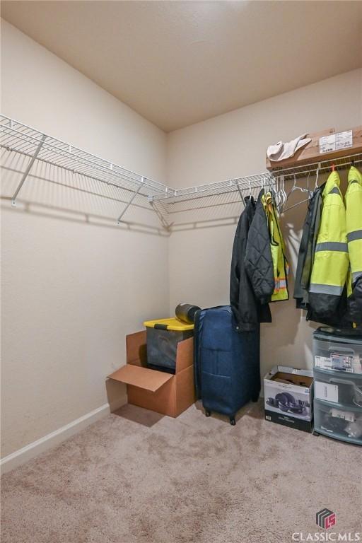 spacious closet featuring carpet flooring