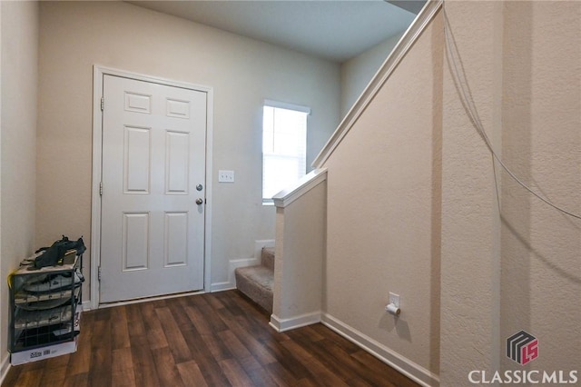 entryway featuring dark wood-type flooring