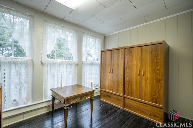 unfurnished office featuring ornamental molding, dark wood-type flooring, and wooden walls