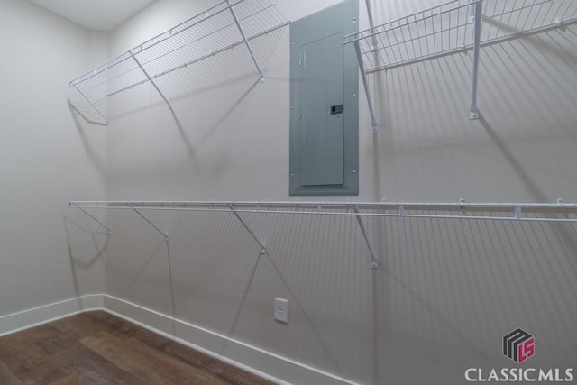 spacious closet featuring electric panel and hardwood / wood-style floors